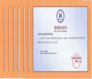 &#112;&#103;&#30005;&#23376;&#27169;&#25311;&#22120;&#40;&#35797;&#29609;&#28216;&#25103;&#41;&#23448;&#26041;&#32593;&#31449;